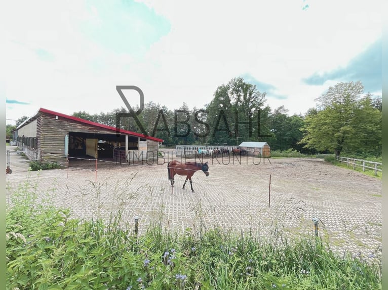 Grandioser Pferdehof mit Reithalle (20x40), Weiden und Offenstall in wundervoller Lage