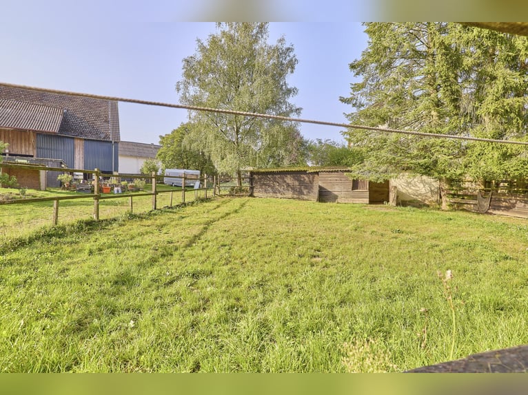 Granja ecuestre en Renania-Palatinado con 8 boxes para caballos y una pequeña pista cubierta en Nied