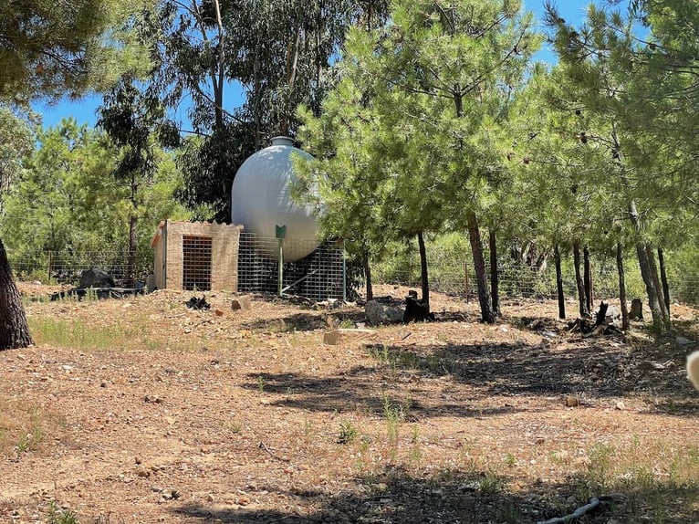 Granja para recreación y caza mayor.