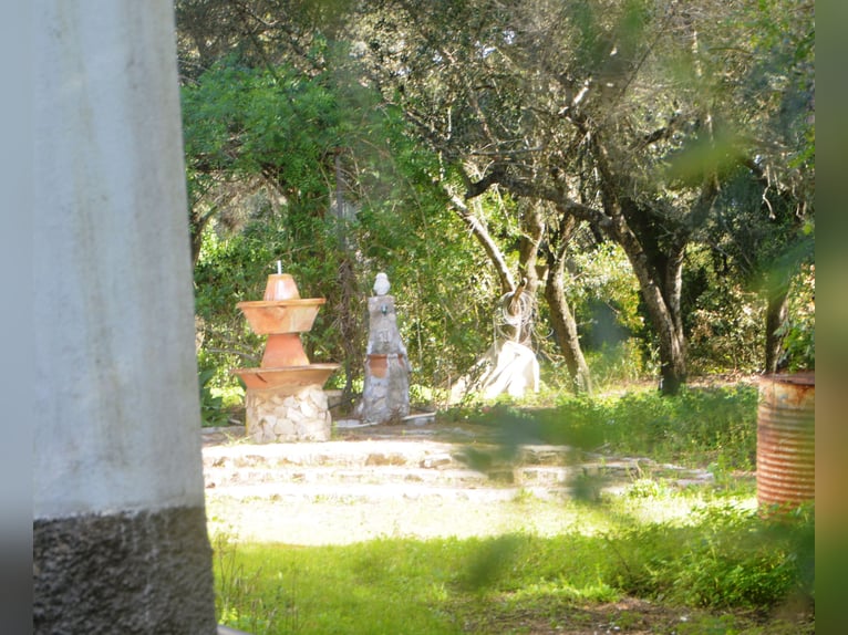 Hermosa finca en medio de una naturaleza maravillosa