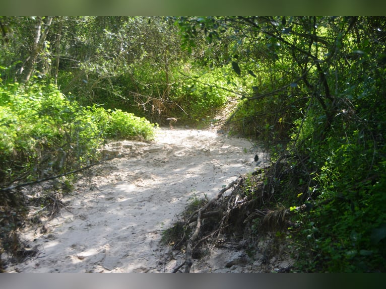 Hermosa finca en medio de una naturaleza maravillosa