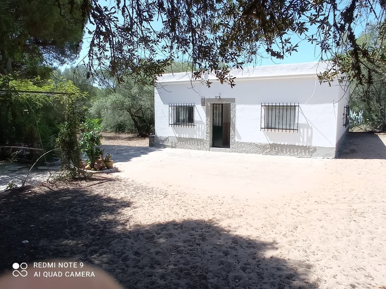 Hermosa finca en medio de una naturaleza maravillosa