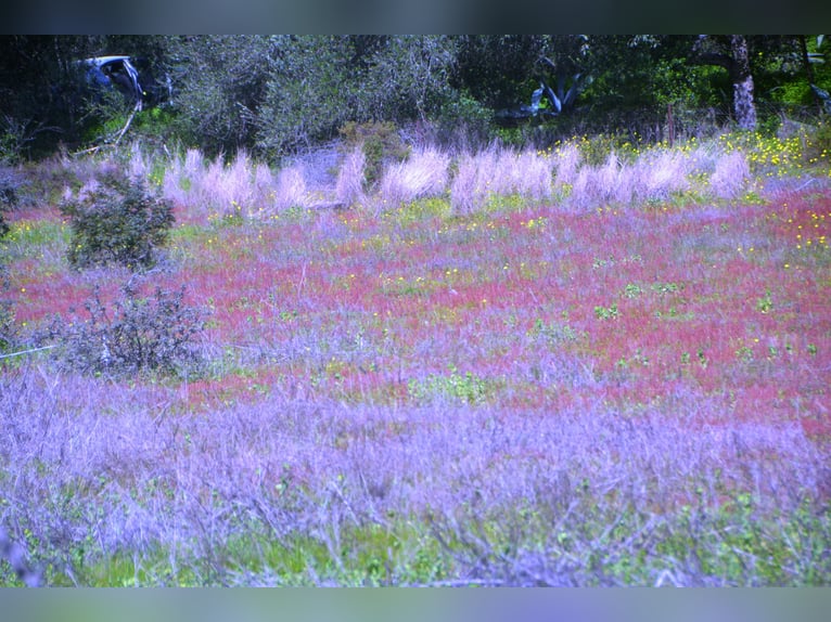 Hermosa finca en medio de una naturaleza maravillosa