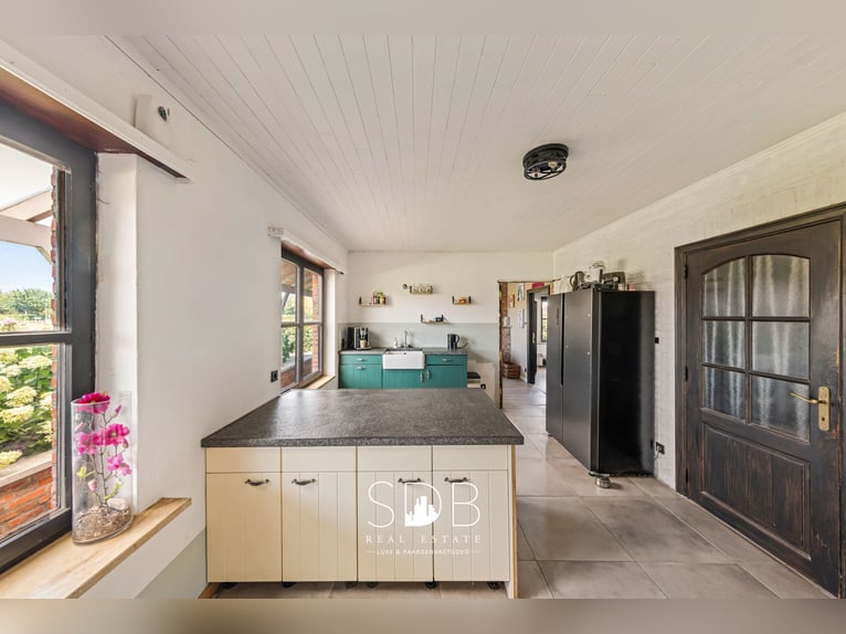 Hermosa vivienda rural con instalaciones ecuestres en 2.59 hectáreas en Amberes | Bélgica