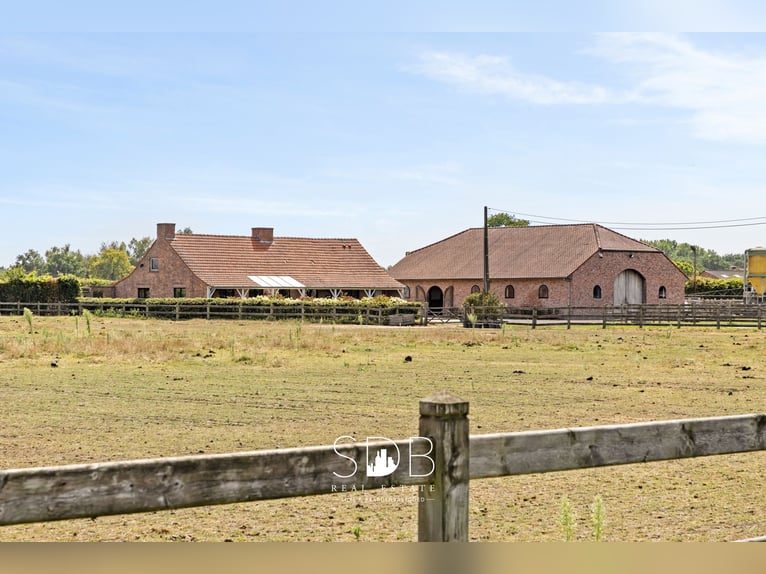 Hermosa vivienda rural con instalaciones ecuestres en 2.59 hectáreas en Amberes | Bélgica