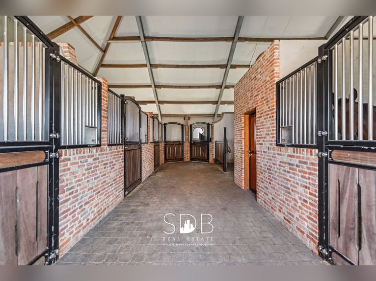 Hermosa vivienda rural con instalaciones ecuestres en 2.59 hectáreas en Amberes | Bélgica