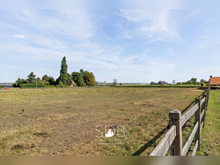 Hermosa vivienda rural con instalaciones ecuestres en 2.59 hectáreas en Amberes | Bélgica