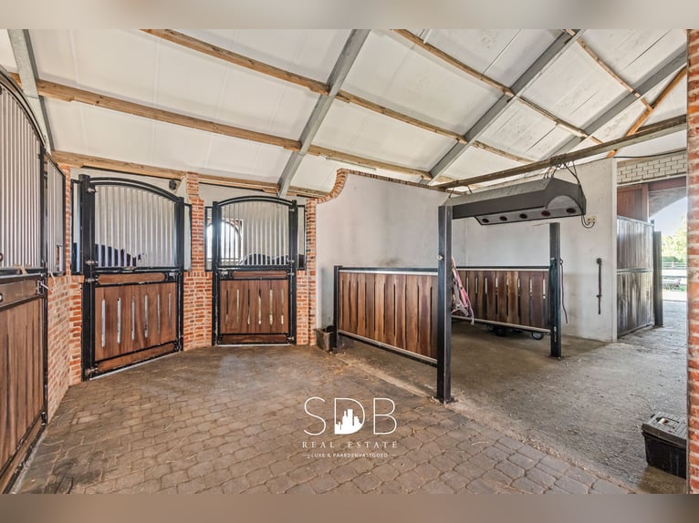 Hermosa vivienda rural con instalaciones ecuestres en 2.59 hectáreas en Amberes | Bélgica