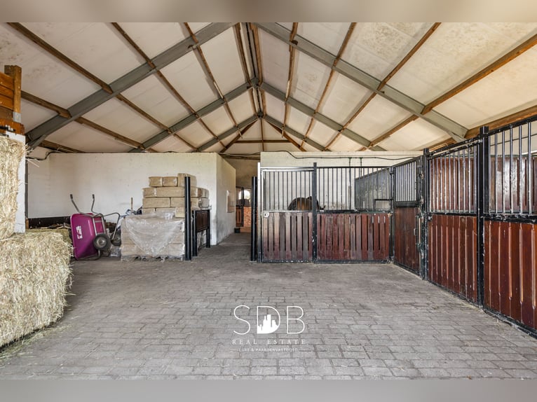 Hermosa vivienda rural con instalaciones ecuestres en 2.59 hectáreas en Amberes | Bélgica