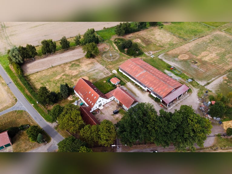 Hermoso centro ecuestre con aproximadamente 7,5 hectáreas de extensión, pista cubierta, paddock de e