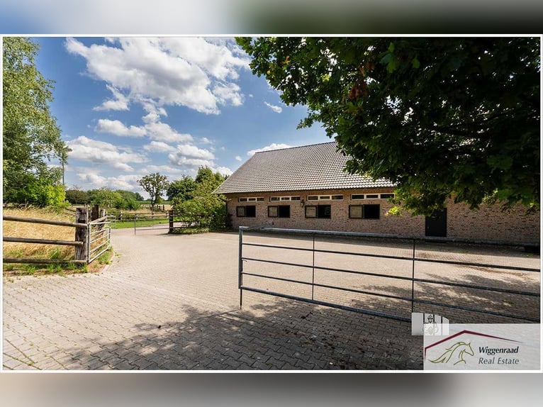 Hermoso conjunto ecuestre en ubicación aislada en Renania del Norte-Westfalia, Alemania