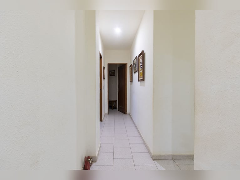 hípica y chalet en venta cerca de Valencia