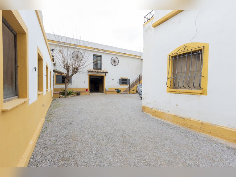 hípica y chalet en venta cerca de Valencia