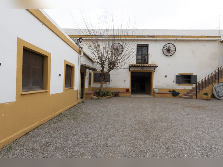 hípica y chalet en venta cerca de Valencia