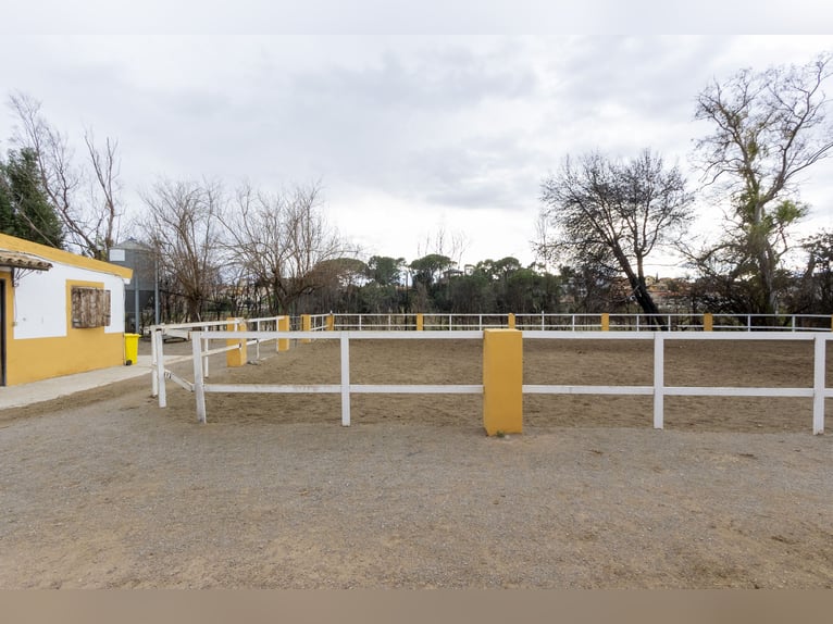hípica y chalet en venta cerca de Valencia