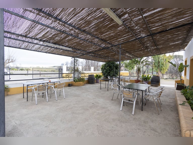 hípica y chalet en venta cerca de Valencia