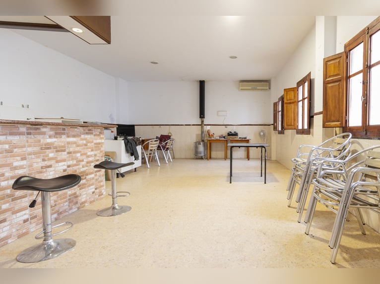 hípica y chalet en venta cerca de Valencia
