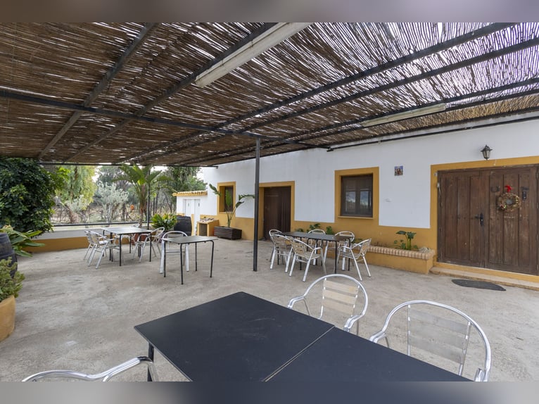 hípica y chalet en venta cerca de Valencia