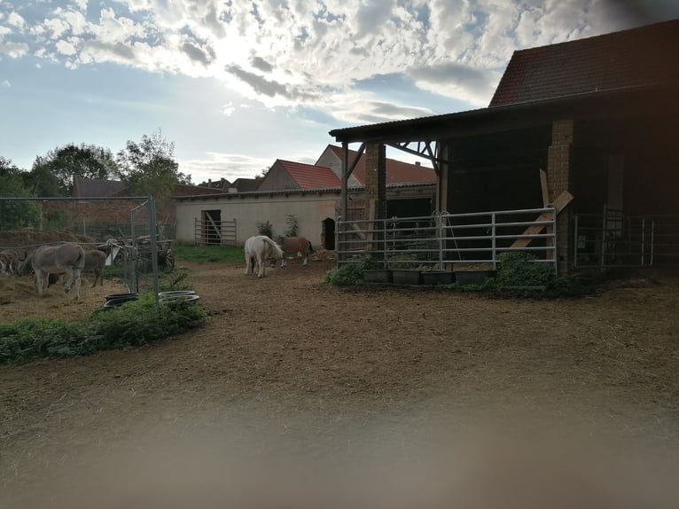 Histórica finca de cuatro lados con casa señorial y potencial para la cría de caballos