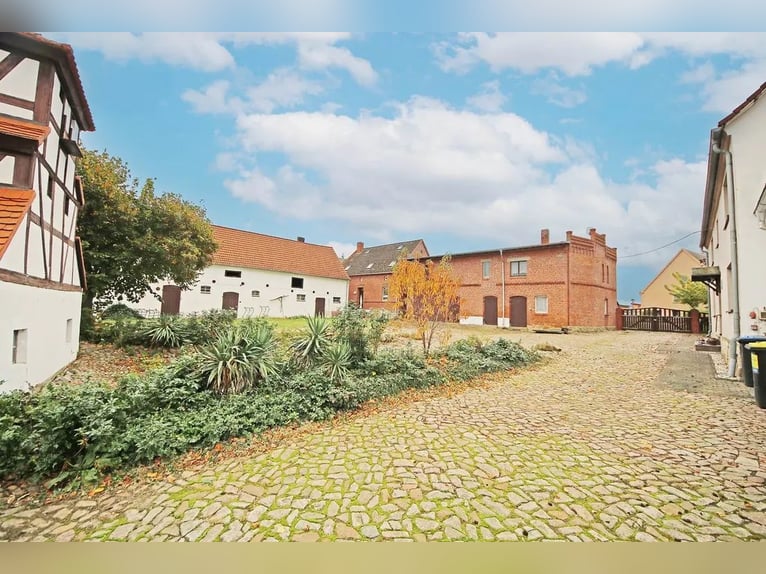 Histórica finca de cuatro lados con casa señorial y potencial para la cría de caballos