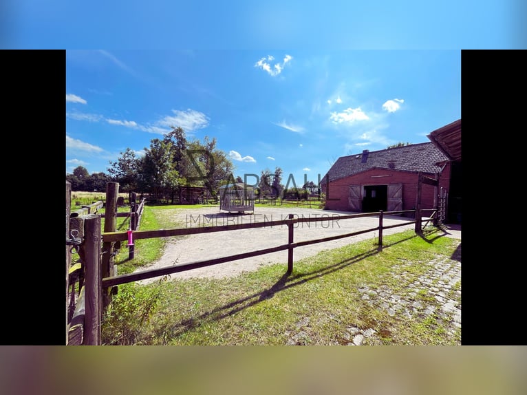 Hofensemble mit ausgebauter Tenne und 1,6ha Land direkt am Haus! Genehmigte Pferdehaltung!