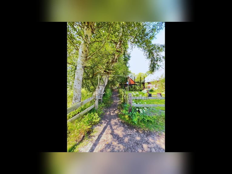 Hofensemble mit ausgebauter Tenne und 1,6ha Land direkt am Haus! Genehmigte Pferdehaltung!