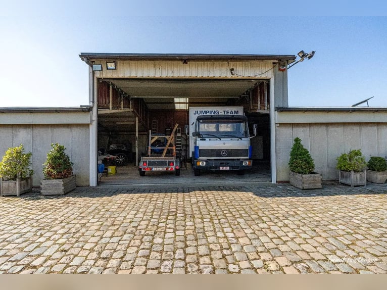 Hoogwaardig afgewerkte villa met stalgebouw en aanpalende weides op ca. 1,7 ha te Herenthout