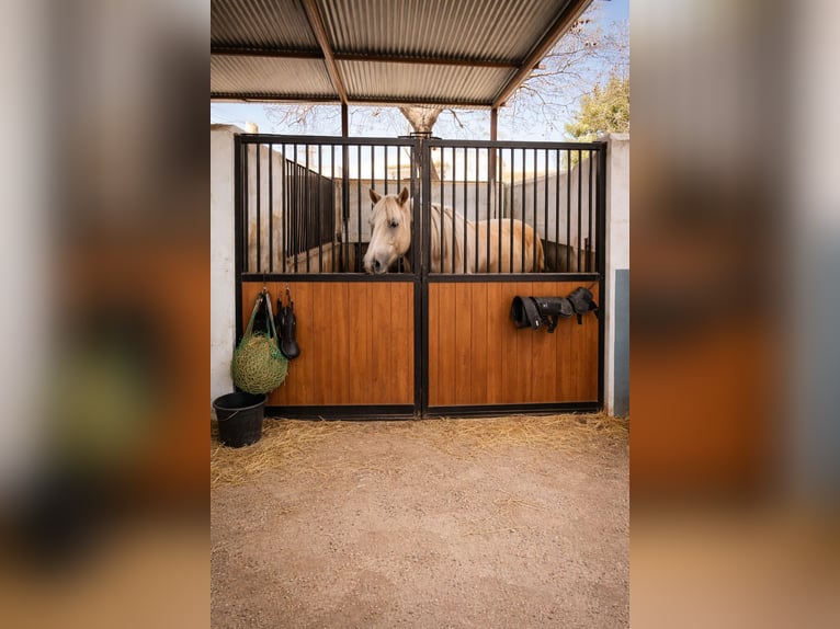 HOUSE WITH EQUESTRIAN FACILITY
