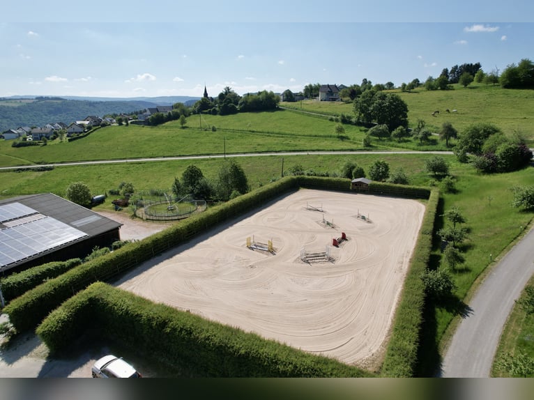 Impresionante y espacioso centro ecuestre en una ubicación panorámica entre Tréveris y Luxemburgo