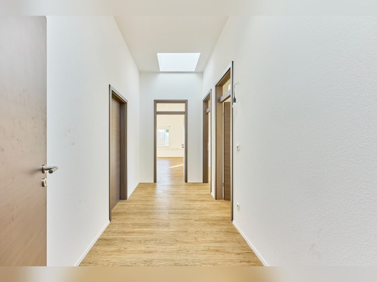 Inmueble comercial en Herrenberg: ¡Clínica ecuestre de nueva construcción con varias oficinas!