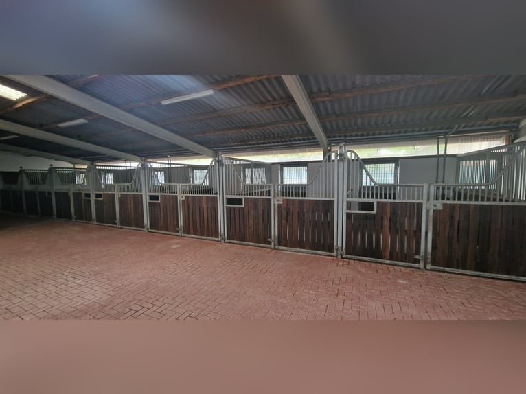 Instalación ecuestre profesional para el deporte de alto rendimiento en la región metropolitana de R