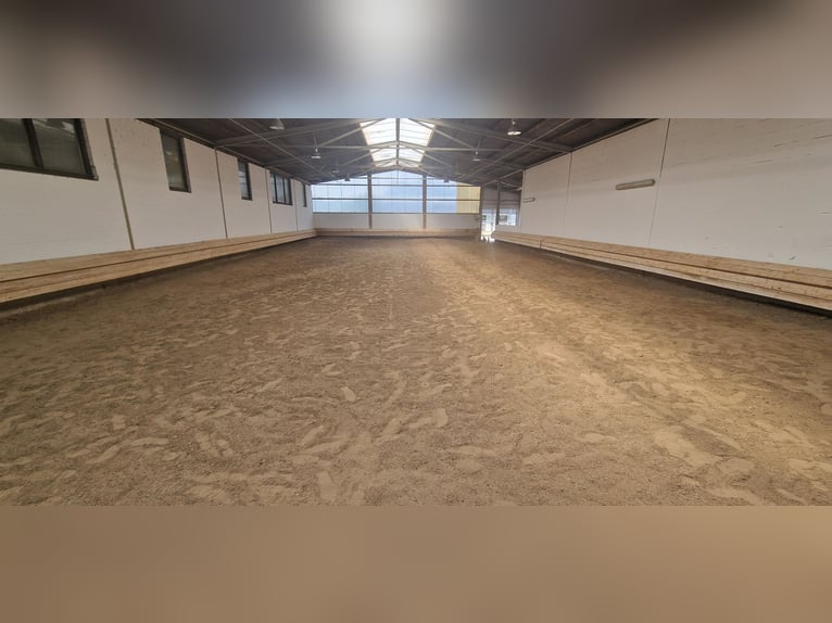 Instalación ecuestre profesional para el deporte de alto rendimiento en la región metropolitana de R