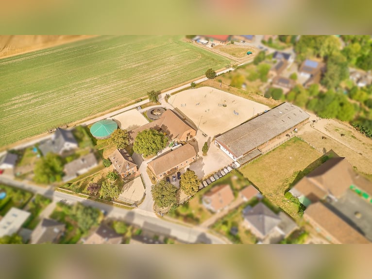 Instalaciones ecuestres cerca de Hannover: establos bien cuidados, condiciones de entrenamiento prof