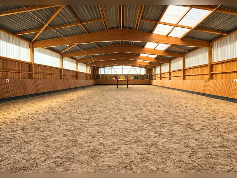 Instalaciones ecuestres con pista cubierta en el valle del Werra – paraíso privado para caballos en
