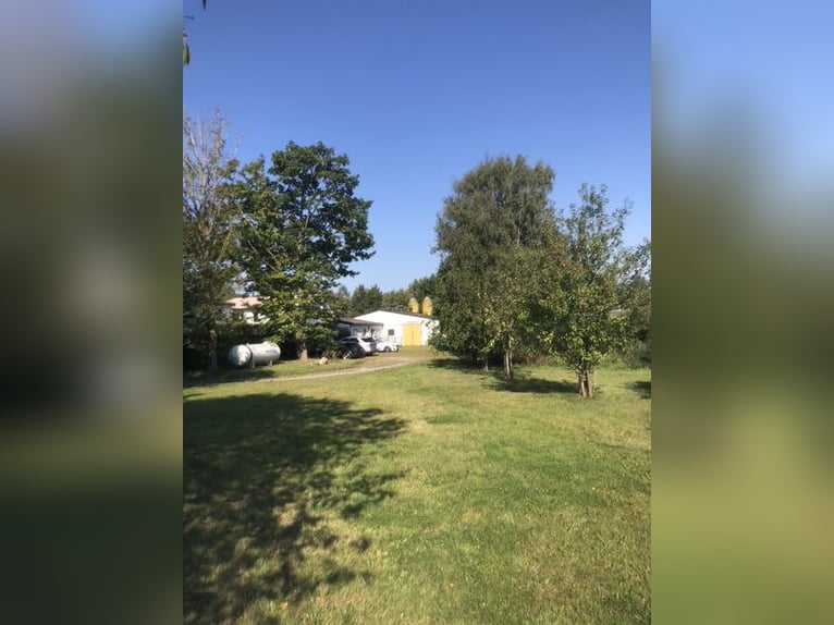 Instalaciones ecuestres en Kiel con 6 apartamentos cerca de la playa, sin intermediarios