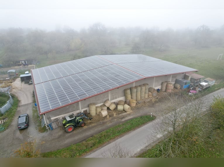 Instalaciones ecuestres en Osterburken: amplias opciones de uso en una propiedad espaciosa