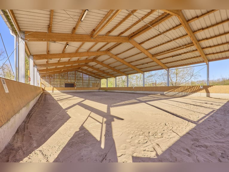 Instalaciones ecuestres en Renania-Palatinado – en el distrito de Donnersberg, con box de actividad 