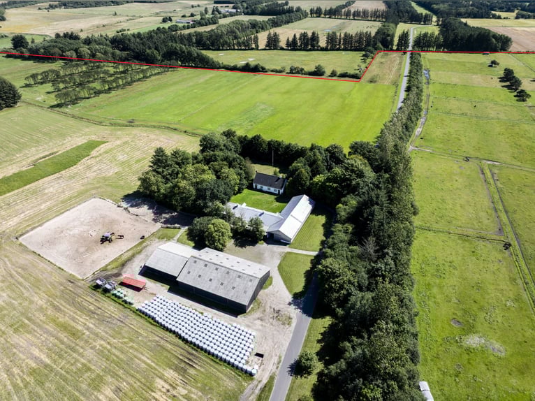 ISLANDGESTÜT MIT 60 HEKTAR IN NORDJÜTLAND ZU KAUFEN