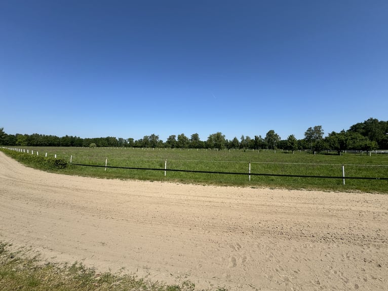 Kompakte Reitsportanlage im Herzen von Ostwestfalen-Lippe