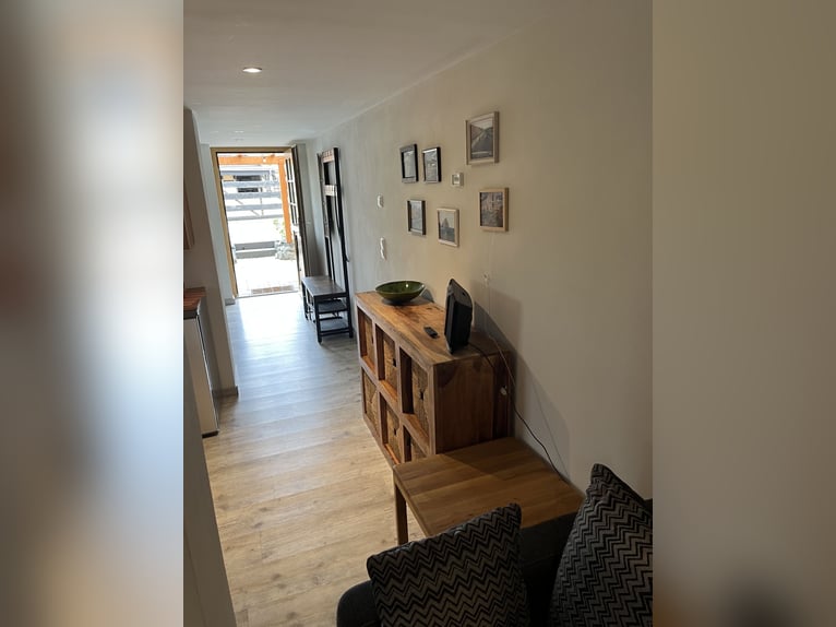 La suerte tiene un hogar: una propiedad bien cuidada con apartamento + vivienda en alquiler en las a