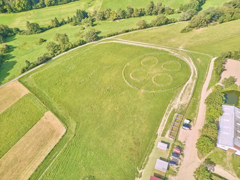 Leben in einer Symbiose mit den Pferden – gepflegte Reitanlage in Geisenheim im beliebten Rheingau!