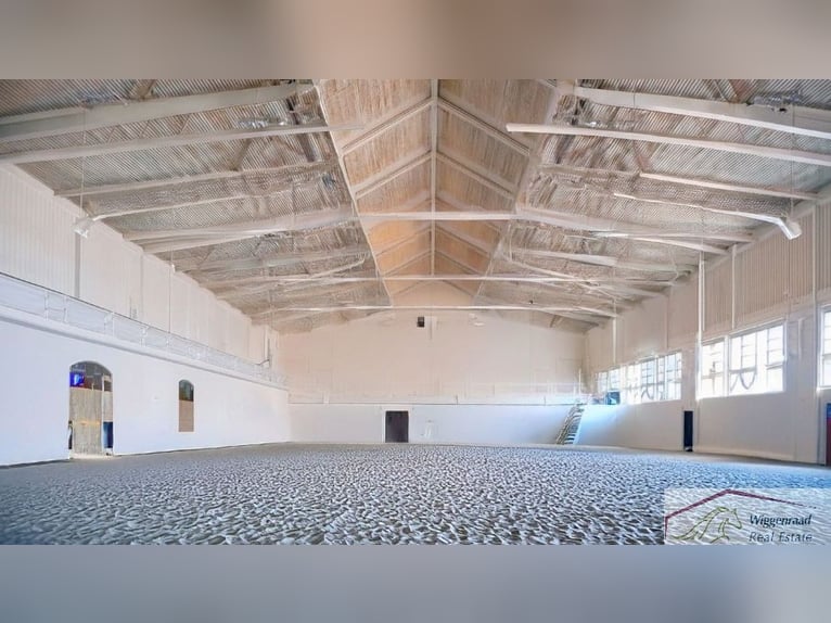 **Luxuriöses Pferdeanwesen in bester Lage** - Schweiz