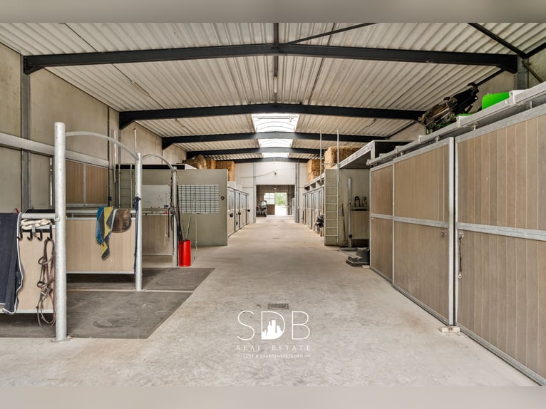 Magnífica villa con instalaciones ecuestres y praderas en aproximadamente 23 hectáreas - 9800 Deinze
