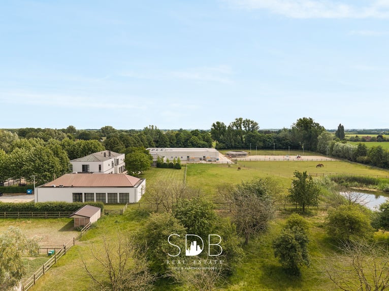 Magnífica villa con instalaciones ecuestres y praderas en aproximadamente 23 hectáreas - 9800 Deinze