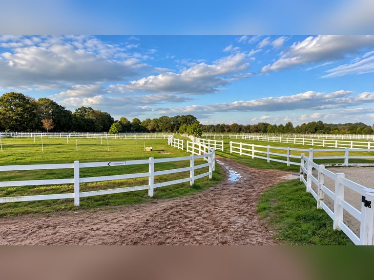 Moderna instalación ecuestre de 3,4 ha – pista cubierta, 13 boxes, cámara de sal y 2 pistas de equit