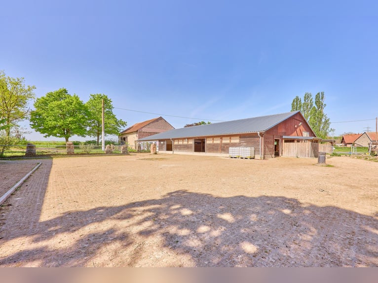 Moderne Reitanlage zu verkaufen in Hütschenhausen – stilvolles & energieeffizientes Wohnen inklusive