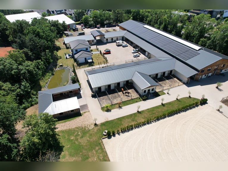 Moderne und rentable Reitanlage im Einzugsgebiet Bonn/Köln mit hochwertigem Wohnhaus