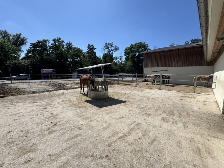 Moderne und rentable Reitanlage im Einzugsgebiet Bonn/Köln mit hochwertigem Wohnhaus