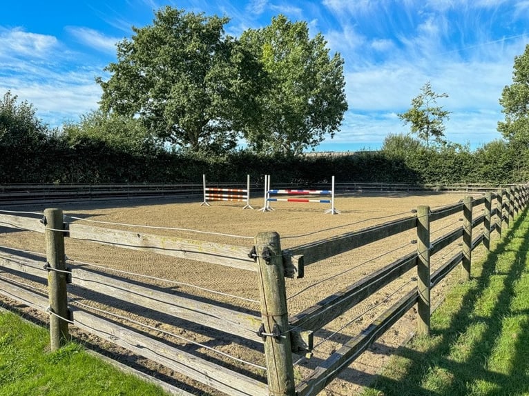 Paradies für Pferdeliebhaber: Reetdachanwesen auf ca. 3,38 ha großen Grundstück mit Nebengebäuden