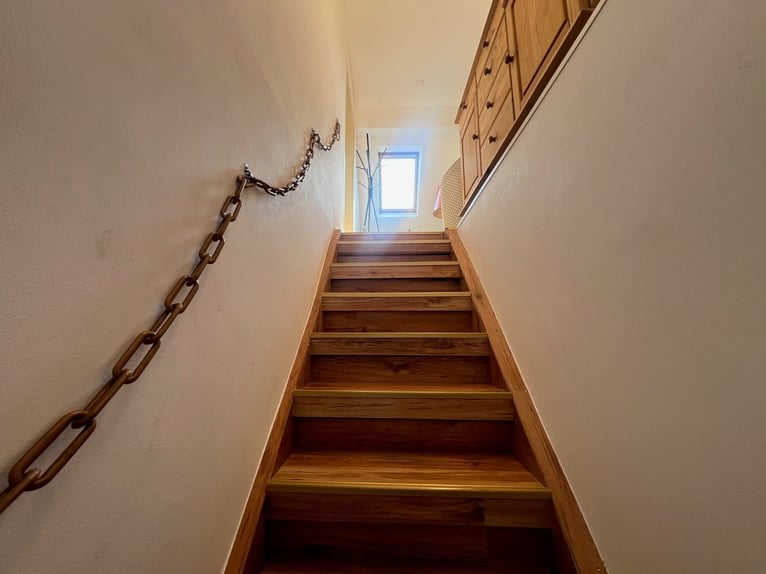 Paraíso ecuestre: romántica finca con pista cubierta, 6 boxes y casa de vivienda